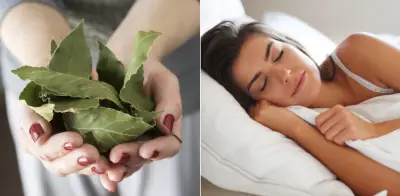 Feng Shui recomienda hojas de laurel en la almohada para mejorar el sueño y equilibrar energías