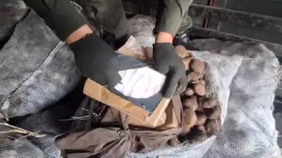 FFMM incautaron más de 160 toneladas de cocaína en 2026, superando el 38% de la meta anual