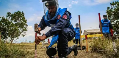 Fuerzas Militares presentan balance de desminado humanitario en Colombia