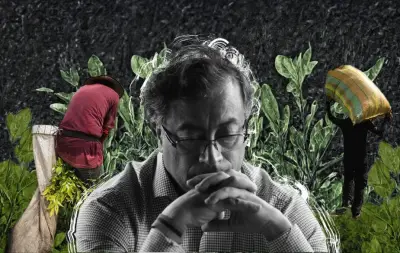 Gobierno y disidencia chocan sobre quién debe financiar la erradicación de coca en Nariño