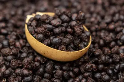 Hormiga culona: tradición santandereana que conquista la alta cocina