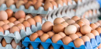 Huevos gratis para familias vulnerables: MinAgricultura lanza programa con avicultores