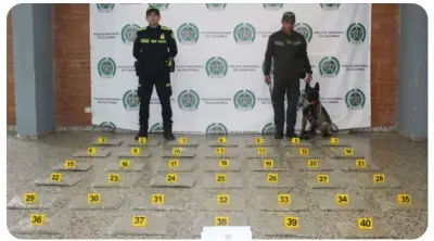 Incautan más de 20 kilos de marihuana en el aeropuerto El Dorado