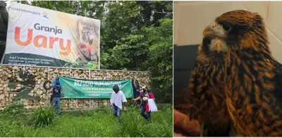 Indígenas ocupan hogar de fauna en Yopal: mueren dos aves silvestres y denuncian hostigamientos