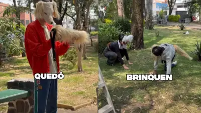 La Rosa de Guadalupe graba capítulo sobre jóvenes therians que se identifican con animales