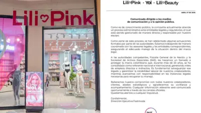 Lili Pink se pronuncia tras extinción de dominio: ¿qué pasará con la empresa?
