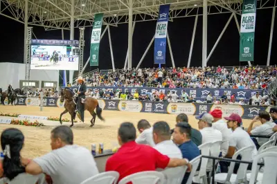 Magangué acoge Agro Bolívar 2026: vitrina del campo bolivarense