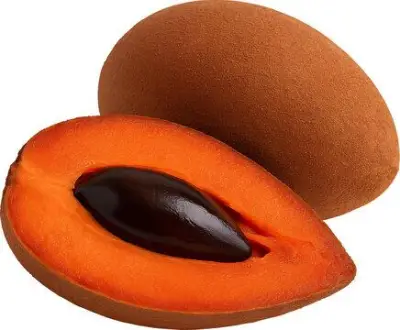 Mamey vs. Zapote: Descubriendo las diferencias botánicas y culturales de estas frutas tropicales