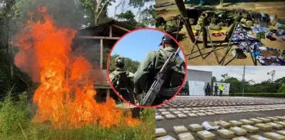 Mapa exclusivo revela 14 zonas de guerra entre grupos armados por control de coca y minería ilegal