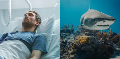 Médico español pierde una pierna en ataque de tiburón tigre durante luna de miel en Maldivas