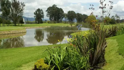 Nace la Consilium University Cup: torneo de golf universitario en formato Ryder Cup