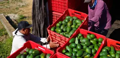 Índice de Precios al Productor registra alza del 3,94% en marzo de 2026 según el Dane