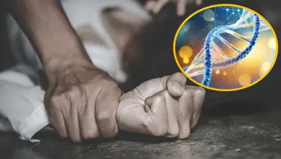 Nueva técnica de ADN permite identificar agresores sexuales hasta cinco días después