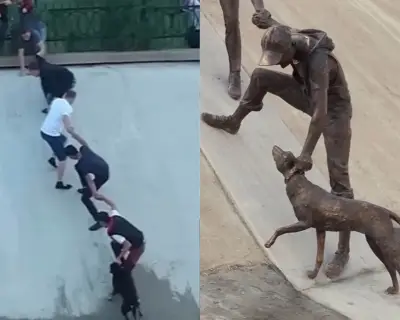 Obra 'Unidad' en Kazajistán revive rescate viral de perro y celebra la solidaridad humana