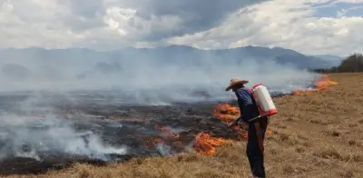 OMM alerta por regreso de El Niño entre mayo y julio de 2026