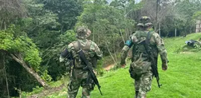 Reconfiguración violenta en Sierra Nevada: 281 homicidios en primer trimestre de 2026