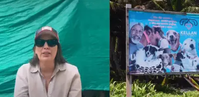 Refugio Canino Kellan en San Andrés denuncia amenaza mortal contra su fundador