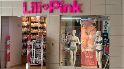 SAE y Mintrabajo evaluarán condiciones laborales de empleados de Lili Pink