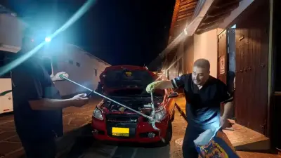 Serpientes sorprenden a viajeros en Santander: una fue hallada dentro de un vehículo