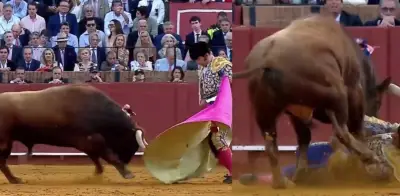 Torero español Morante de la Puebla en estado crítico tras cornada que perforó su recto