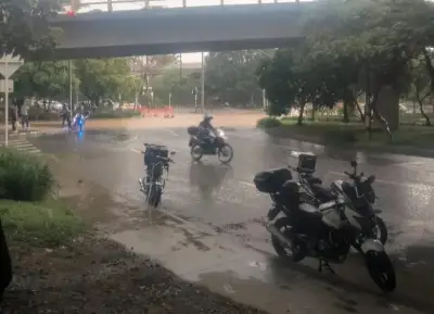 Tragedia en Medellín: Niña de 5 años fallece por caída de árbol durante aguaceros