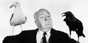 A 50 años de 'Trama Macabra': El épico adiós cinematográfico de Alfred Hitchcock