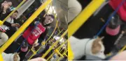 Alertan por hombre que usa perros en mal estado para pedir dinero en TransMilenio