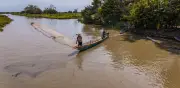 Amansaguapos: de conflicto a esperanza para 450 familias agropescadoras en Sucre y Córdoba
