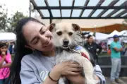 Bogotá impulsa jornadas de adopción animal bajo el lema 'Adoptar es Amar sin Condiciones'