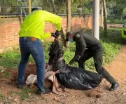 Bucaramanga conmocionada por brutal maltrato animal que terminó con la muerte de una perra