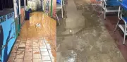 Colegio Portugal de Lebrija en emergencia: inundaciones y vandalismo afectan a más de 500 estudiantes