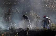 Colombia lanza programa nacional para combatir incendios forestales con brigadas especializadas