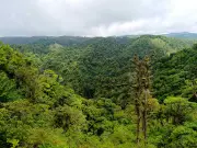 Costa Rica se ubica entre los cinco países más felices del mundo según la ONU