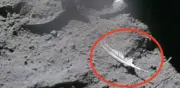 El experimento lunar de Apolo 15: cuando un martillo y una pluma cayeron juntos