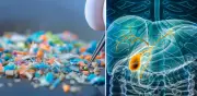 Estudio chino descubre microplásticos en bilis humana: alertan sobre 'reservorio oculto' en el organismo