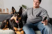 Estudios revelan qué ven los perros en la televisión y cómo reaccionan ante las pantallas