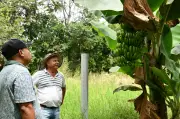 Finca agroecológica El Astro: excombatientes y campesinos construyen paz en el Valle del Cauca