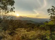 Gobierno decreta Día Cívico de la Paz con la Naturaleza como jornada no laboral