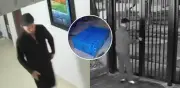 Hallan muerto a judío estadounidense en armario en Bosa, Bogotá