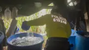 Incautan 900 kilos de cocaína en Cauca en operativo binacional