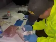 Incautan 900 kilos de cocaína en El Tambo, Cauca, en operativo binacional