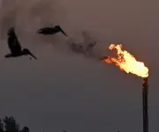 Incendio en refinería Olmeca de Pemex en Tabasco: reportan emergencia sin lesionados