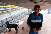 José Francisco García: 60 años viviendo bajo un puente con sus cuatro perros en Bogotá