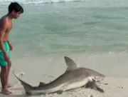 Joven arriesga su vida para rescatar a un tiburón herido en playa de Florida