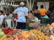 Jóvenes de Puerto Tejada cambian pandillas por cultivos en exitoso programa de resocialización