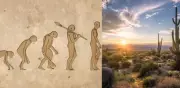 La ciencia identifica el posible lugar exacto donde nació el Homo sapiens en Sudáfrica