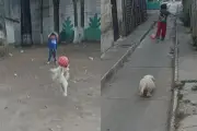 Lunita, la perrita guatemalteca que se volvió viral en TikTok por sus atajadas de fútbol