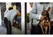 Mariachi rescata a perro abandonado durante una presentación en TikTok