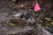 Masacre en Mocoa: Cinco hombres asesinados tras amenaza de 'limpieza social' en redes