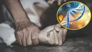 Nueva técnica de ADN permite identificar agresores sexuales hasta cinco días después